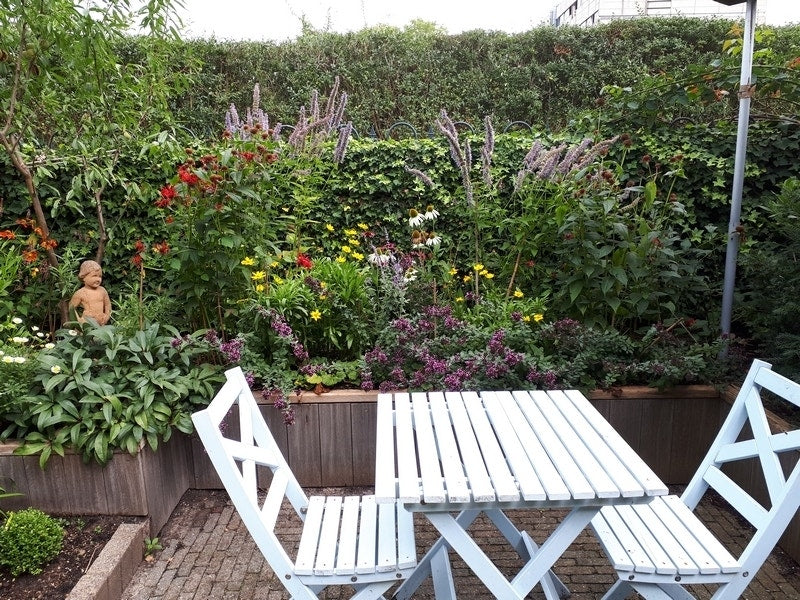 Borderpakket Vlindertuin (4,5 M²)
