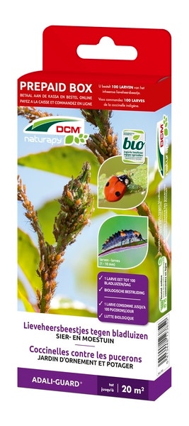Lieveheersbeestjes Larven Tegen Bladluizen (DCM Adali-Guard®)