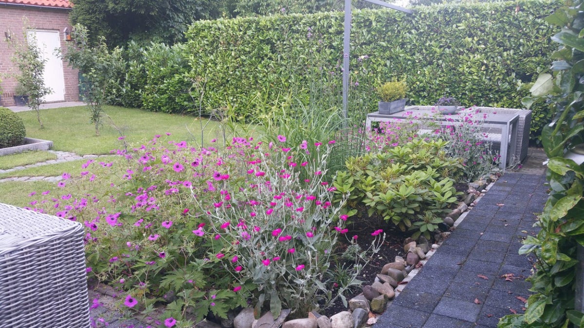 Borderpakket Zacht Roze