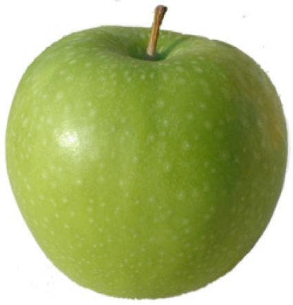  Appelboom (Malus Domestica 'Granny Smith')