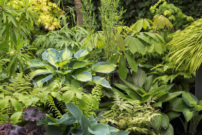  Borderpakket Jungle Border
