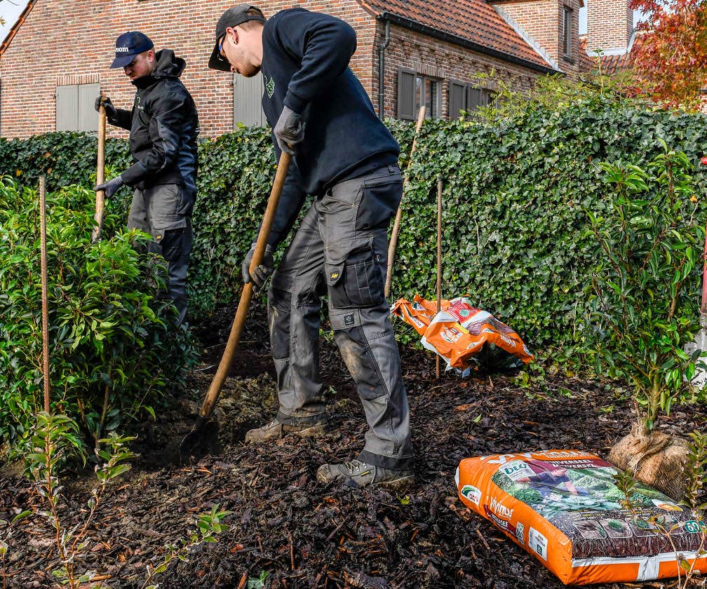  Aanplant Grond Universeel (Vivimus Voor Alle Tuinplanten)