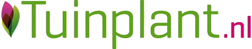 Tuinplant
