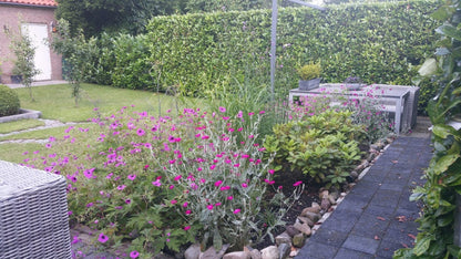  Borderpakket Zacht Roze