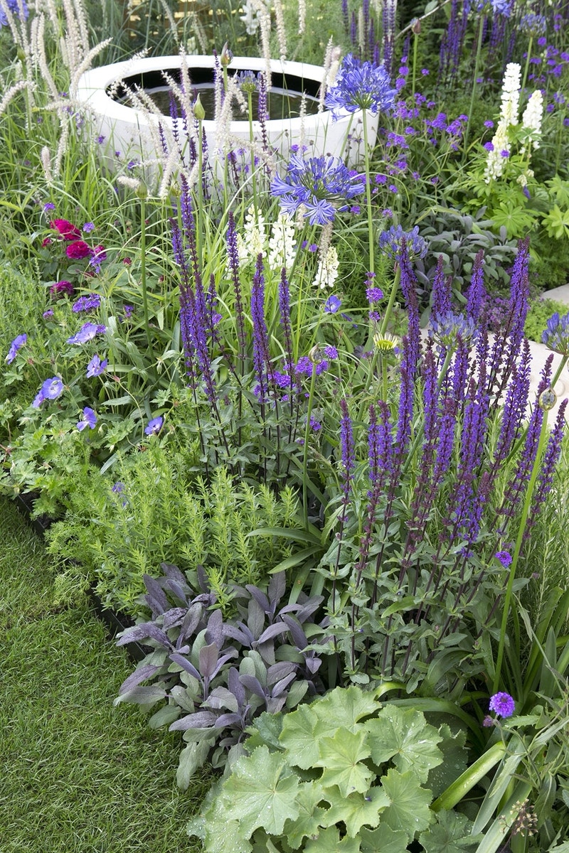  Borderpakket Smalle Border In Paars