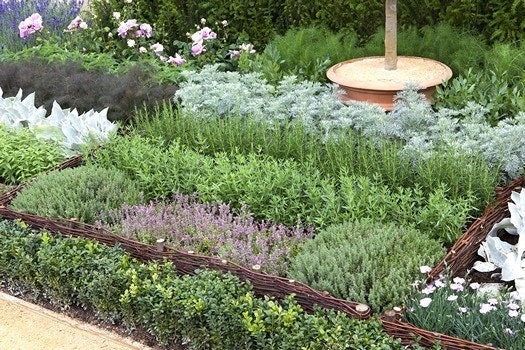  Borderpakket Theeplanten - Geurig Kruidenpatroon
