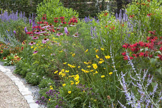  Borderpakket Vlindertuin (4,5 M²)