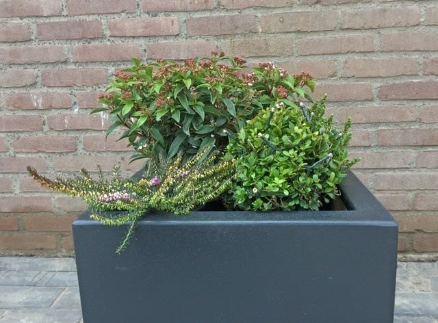  Winterpakket